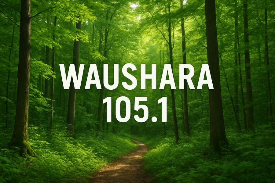 Lush green forest representing Waushara 105.1 Lush green forest representing Waushara 105.1